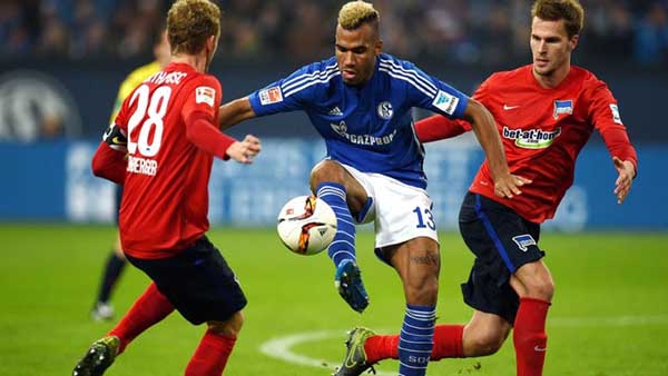 Nhận định Soi Kèo Schalke vs Hamburger, 01h30 ngày 24/07, Giải hạng 2 Đức